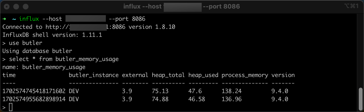 Manual query of Butler data in InfluxDB